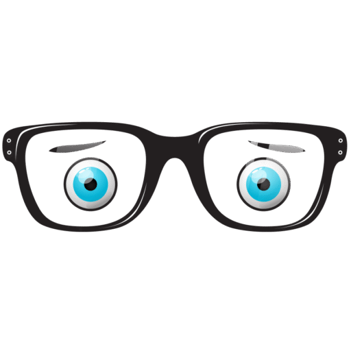 Foureyes Photo (Appearance – Customize – Header – Site Title & Logo)