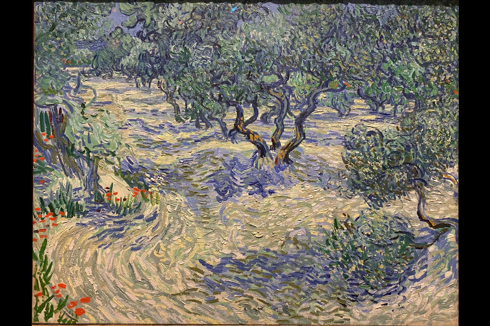 Vincent